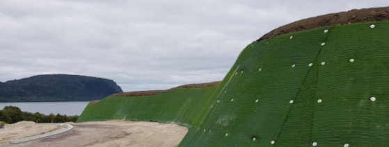 info-559-212 info-559-212